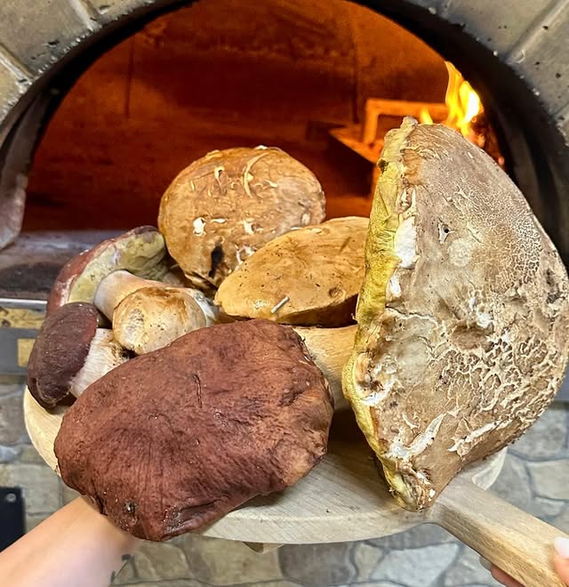 Funghi porcini davanti al forno a legna