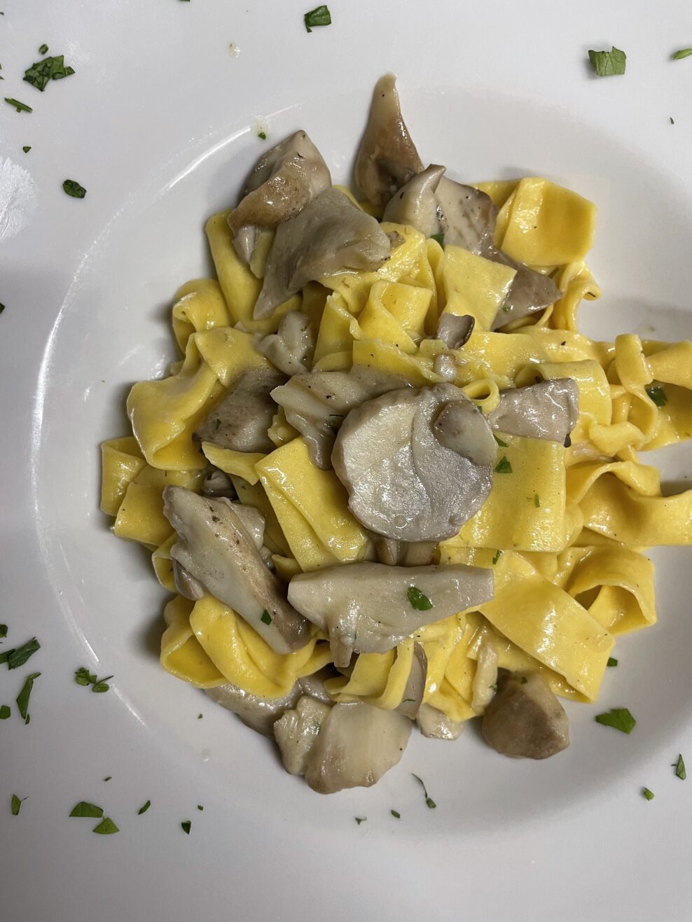 Tagliatelle ai porcini